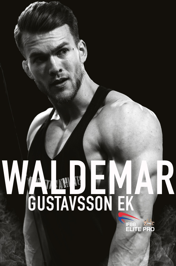 waldemar gustavsson ek